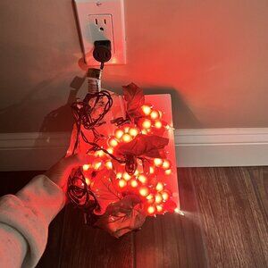 Grape Cluster Lights 5ft Brand New In Box